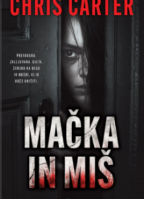 Mačka in miš