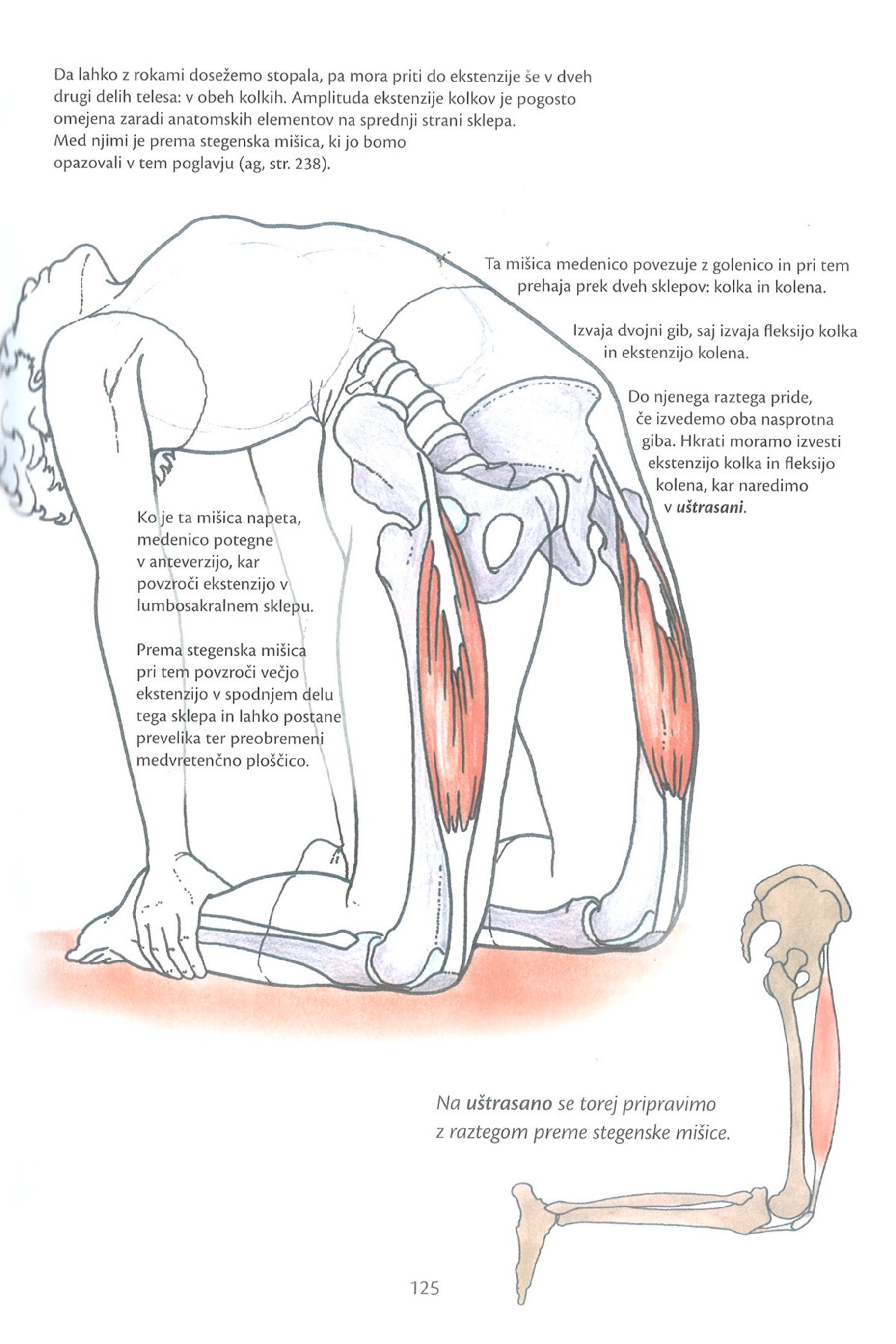 Anatomija joge 1