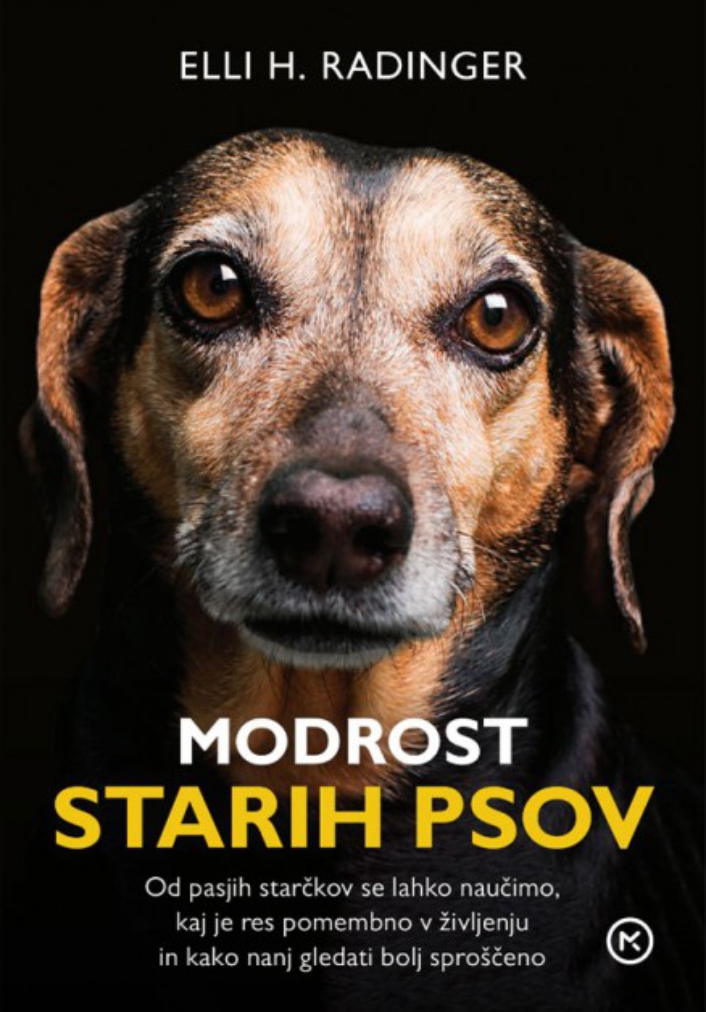 Modrost starih psov